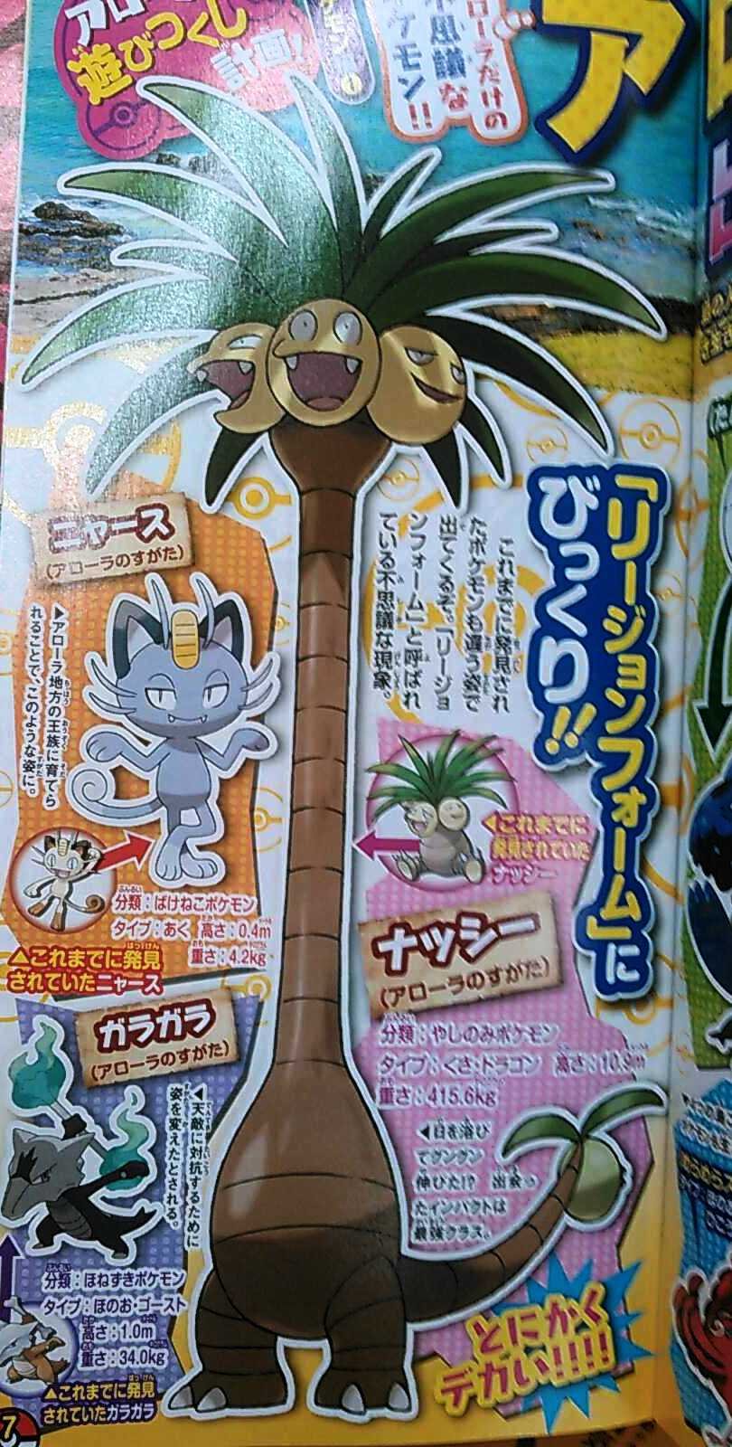 Corocoro9163