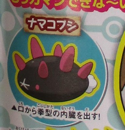 Namakobushi