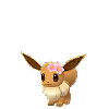Eevee (flor de cerejeira)
