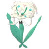 Florges (White Flower)