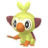 Grookey