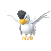 Squawkabilly (White Plumage)