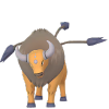 Tauros
