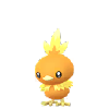 Torchic (fêmea)