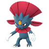 Weavile (macho)